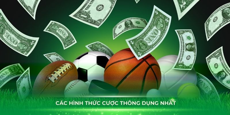 Khám phá các hình thức cược thông dụng nhất tại nhà cái