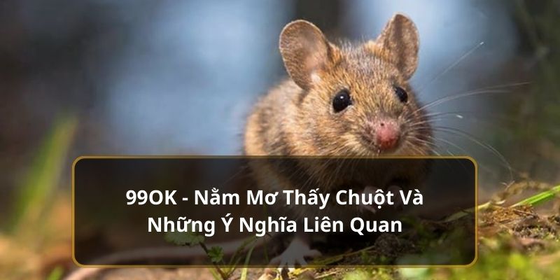 nằm mơ thấy chuột